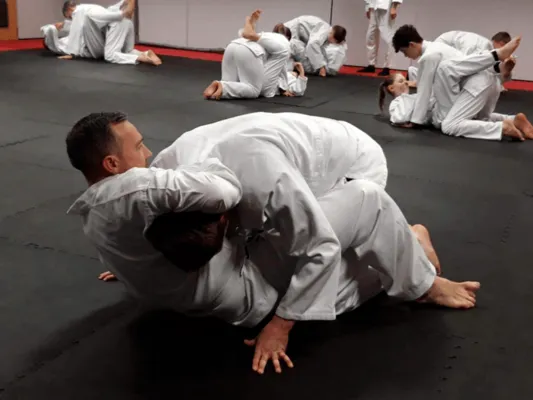 Adults Jiu Jitsu